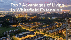 Hectare to Acres | Convert Land Area Easily Online Now